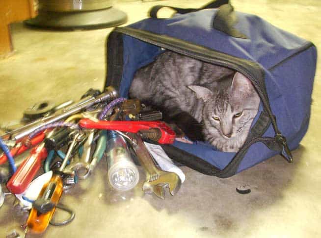 CAT tool